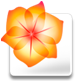 Adobe Creative Suite 2 5