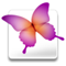 Adobe Creative Suite 2 2