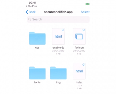 Secure ShellFish